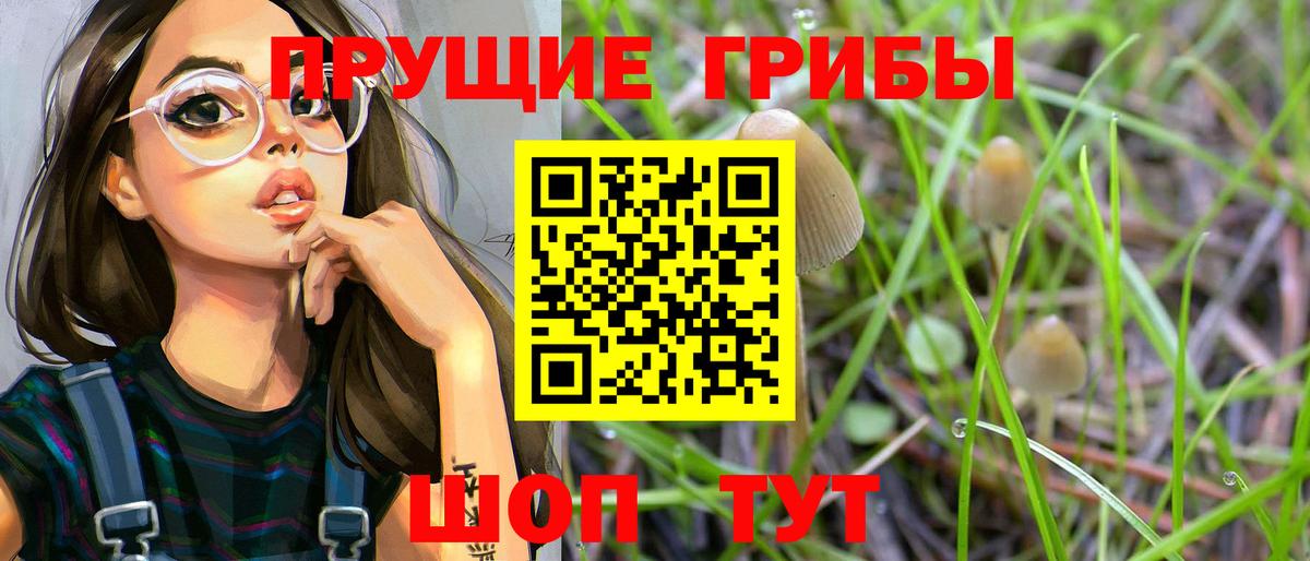 Галлюциногенные грибы Psilocybe  Вход с VPN  Шатура  Псилоцибиновые грибы MAGIC MUSHROOMS 